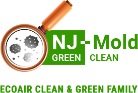 NJ Mold Testing & Remediation LLC 